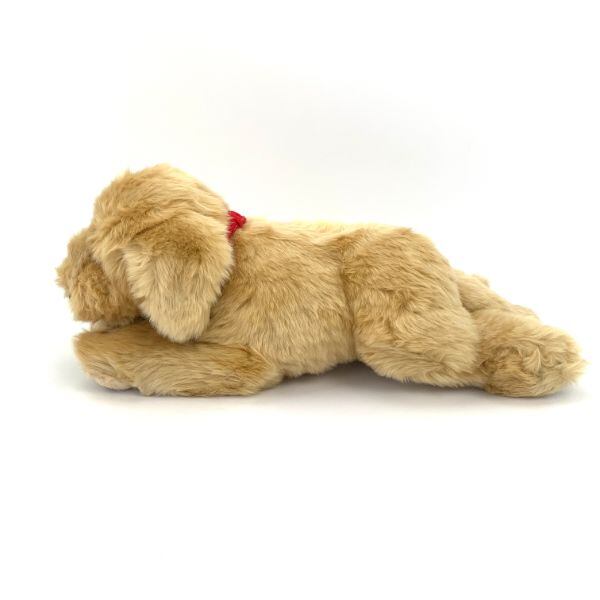 ぬいぐるみ S ゴールデンレトリバー 犬 動物 | PAY ID