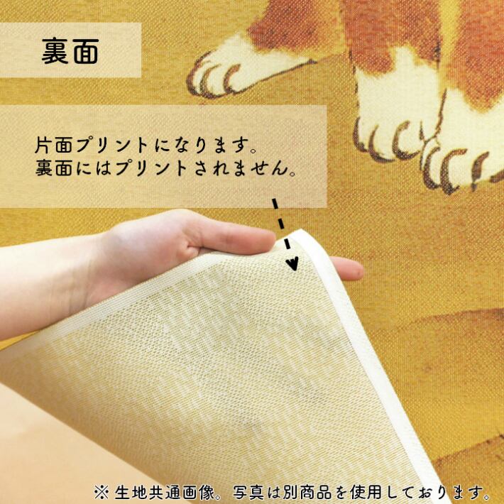 受注生産】のれん 長沢芦雪 薔薇蝶狗子図 日本画 グッズ 名画
