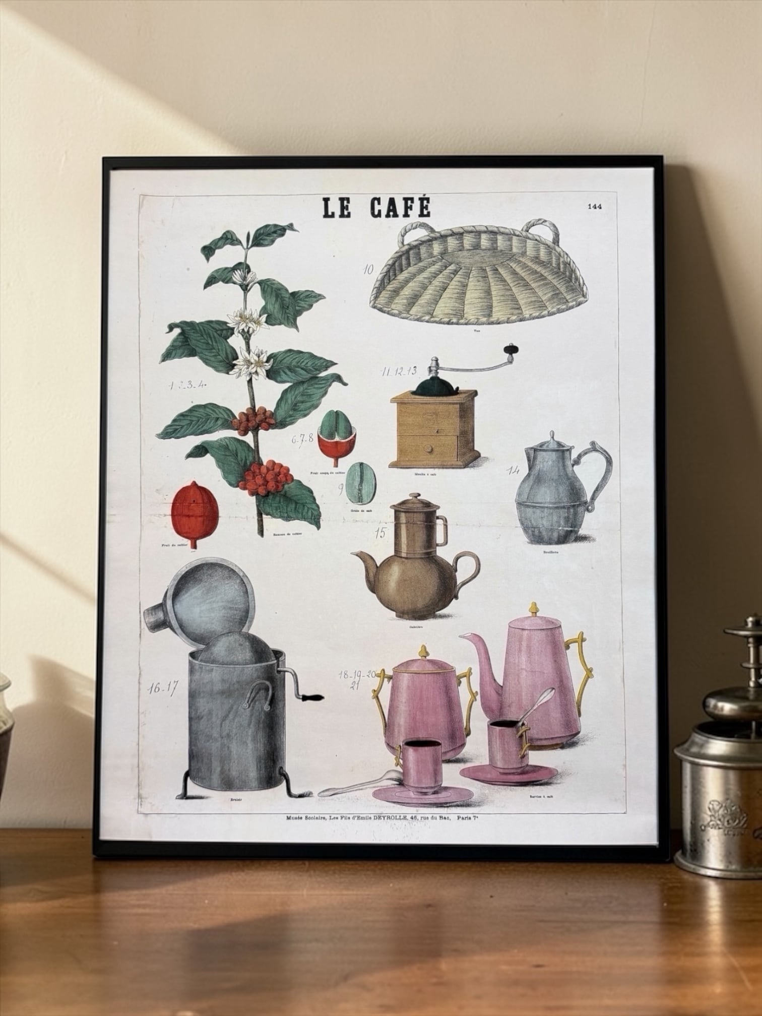 教育用図盤 "Coffee " / W490mm×H588mm