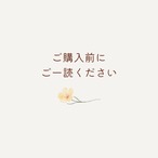 〖 ご購入前にご一読ください 〗