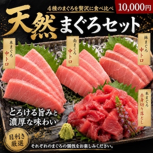 贈答人気No.1 極上まぐろギフト