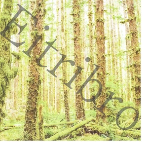アートポスター / Shining forest　eb103