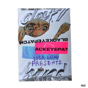 【 送料無料 】 作品「 DAFT PUNK ONE MORE TIME - CHIHI LOW （チヒロウ）」 LISA LOW PERRORMANCED オリジナルアート 一点もの 原画・現代アート - ファン必見 ETの指先に アーティスト チヒロウの息づかいメッセージを感じる 作品 生産地 日本 作者 CHIHI LOW 2026年8月制作 鬼束ちひろ オリジナル コレクション インテリア おすすめ アブロイ ABROI