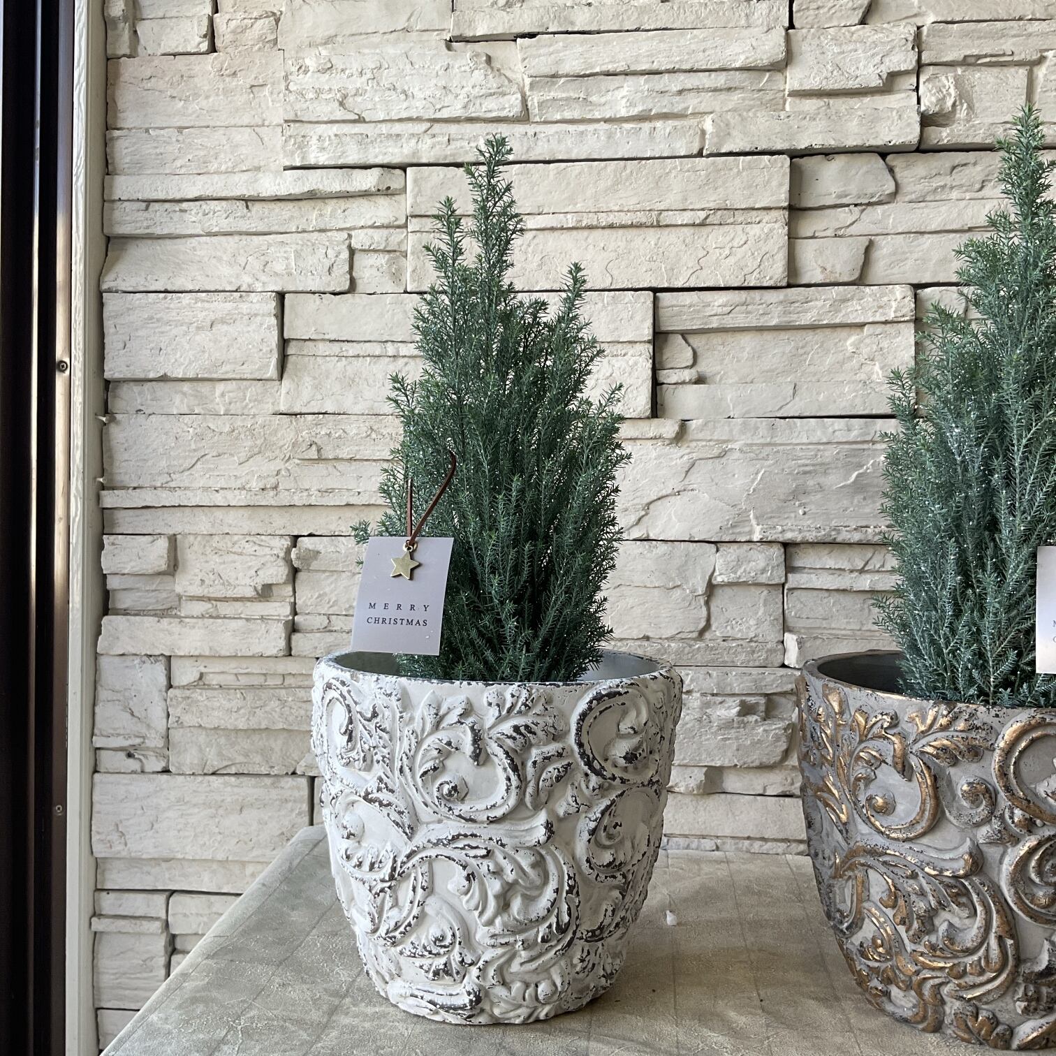 中型コニファー グレー鉢　送料無料 受注販売】【クリスマス】キラキララメ付きコニファー陶器鉢植え