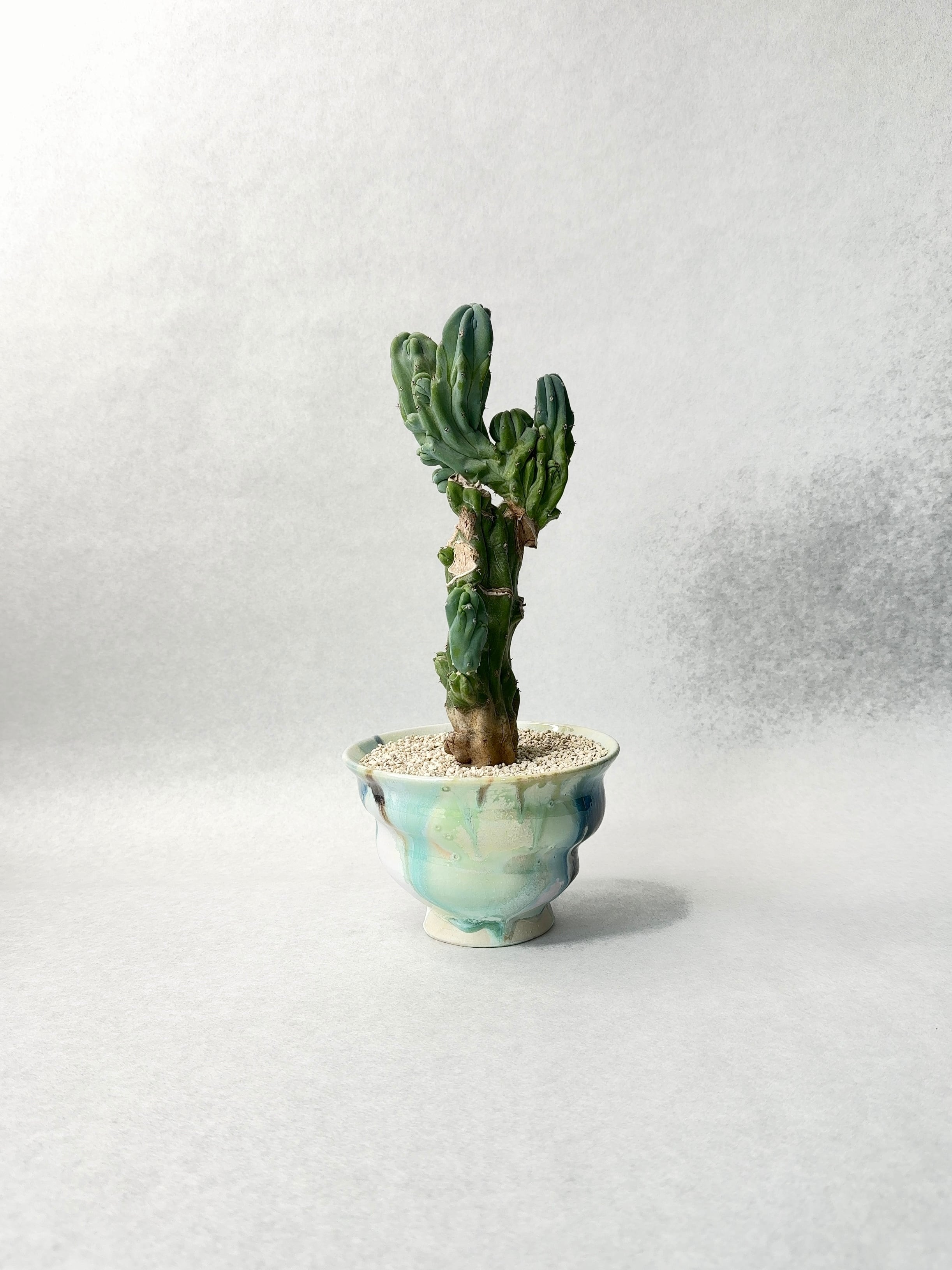 d53a3ad3fc64b5bcde1f06e0de9f49