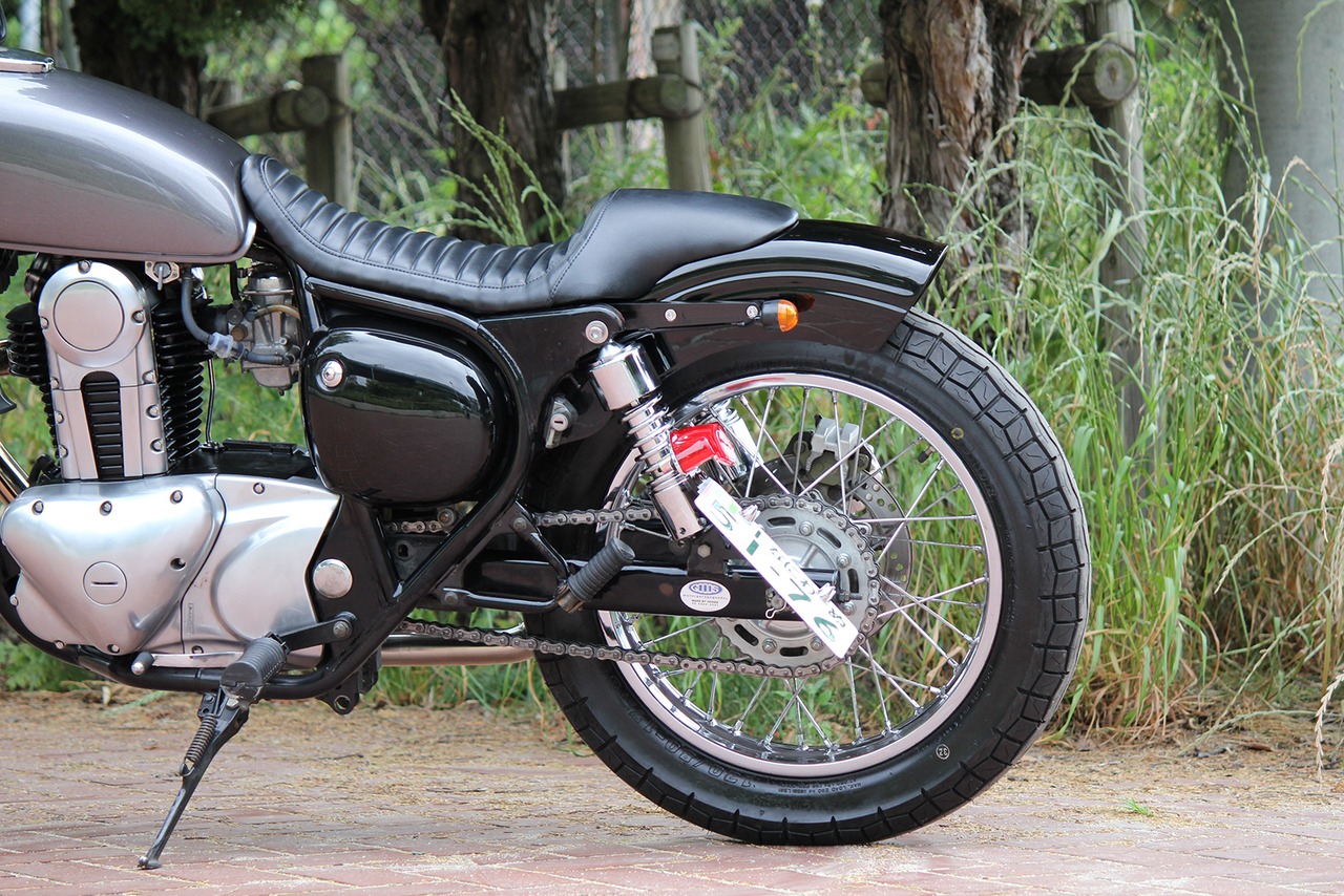 (Rear)Fender strut ESTRELLA