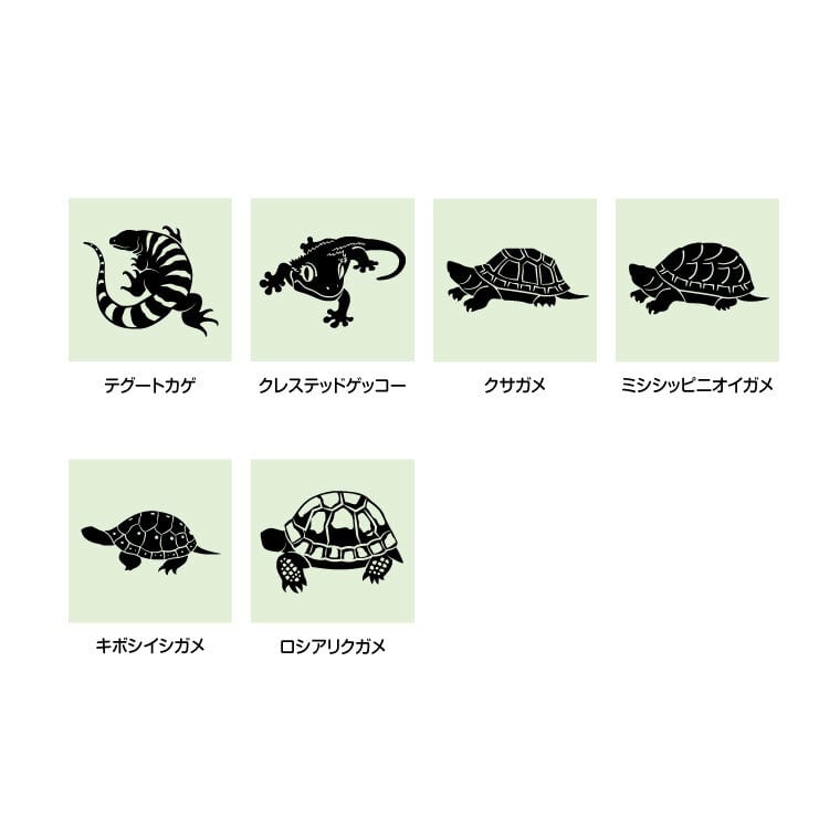 d53e4f0079821d6566cb4ca2a72fa7