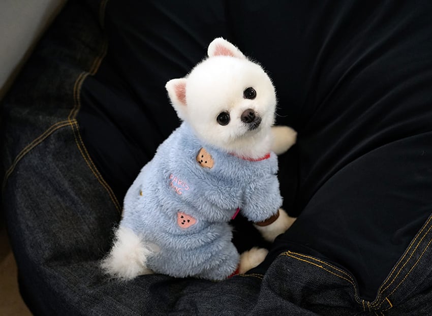 bear fleece all in one S ~ 2XL 2color  /  犬服 秋冬 新作 もこもこ フリース オールインワン 可愛い 犬の服 暖かい ドッグウェア ペット ワンコ服 小型犬 中型犬 猫 ロンパース b60