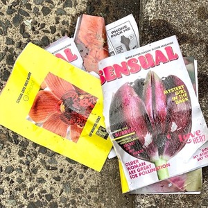 " SENSUAL "   ZINE