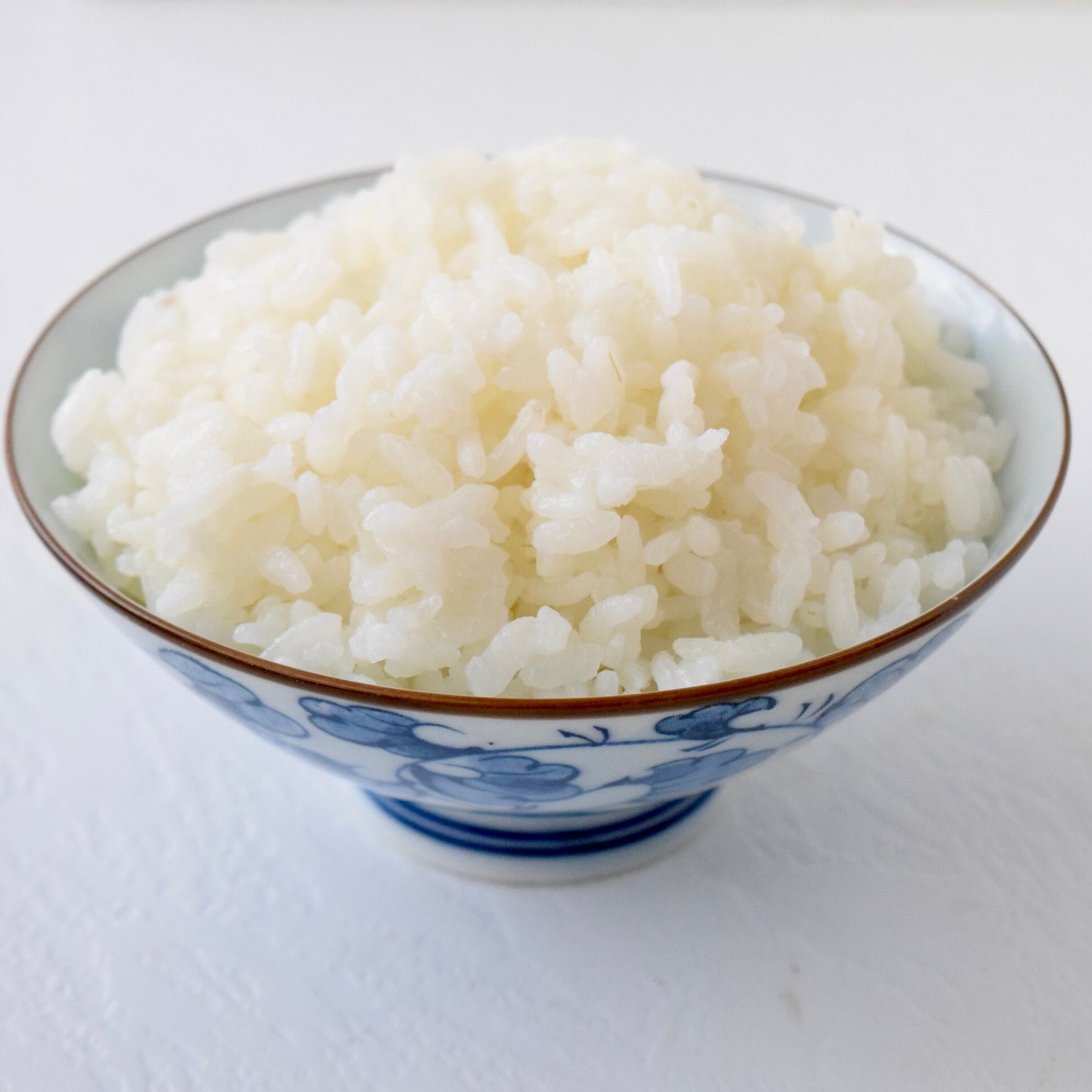 令和7年産】いのちの壱・白米4.5㎏（農薬化学肥料不使用）×1袋 | 鮭農園