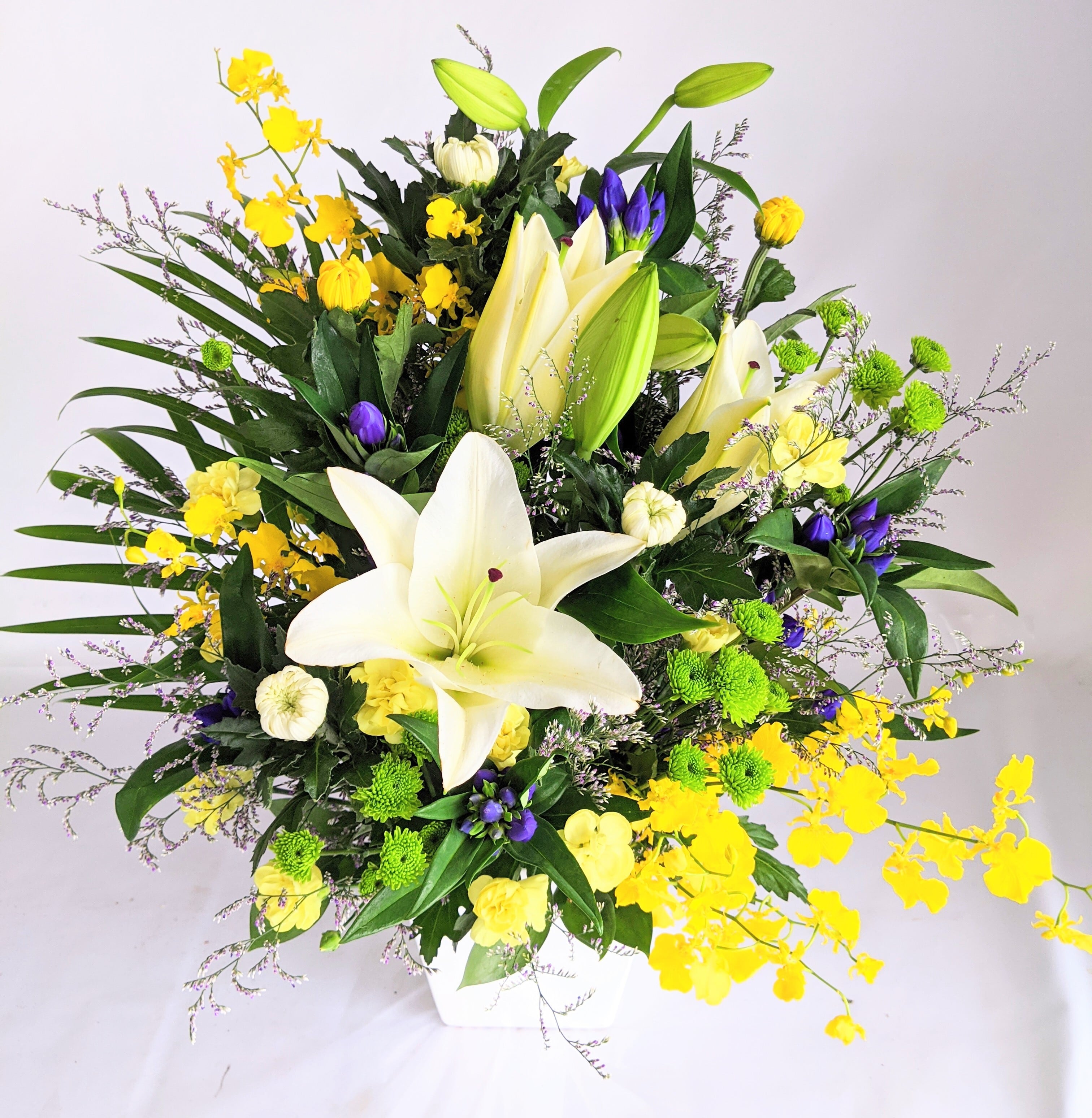 d54493aaaa7f9f55aa8a03a82296d4