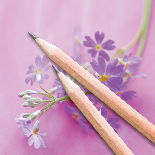 花咲く色鉛筆 バジル（緑）