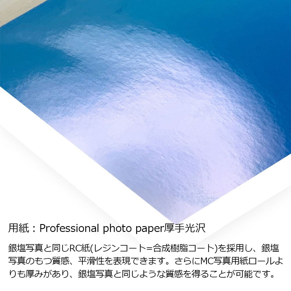 春写真 フランス アルプル山脈 モンブランと花畑 インテリアアート