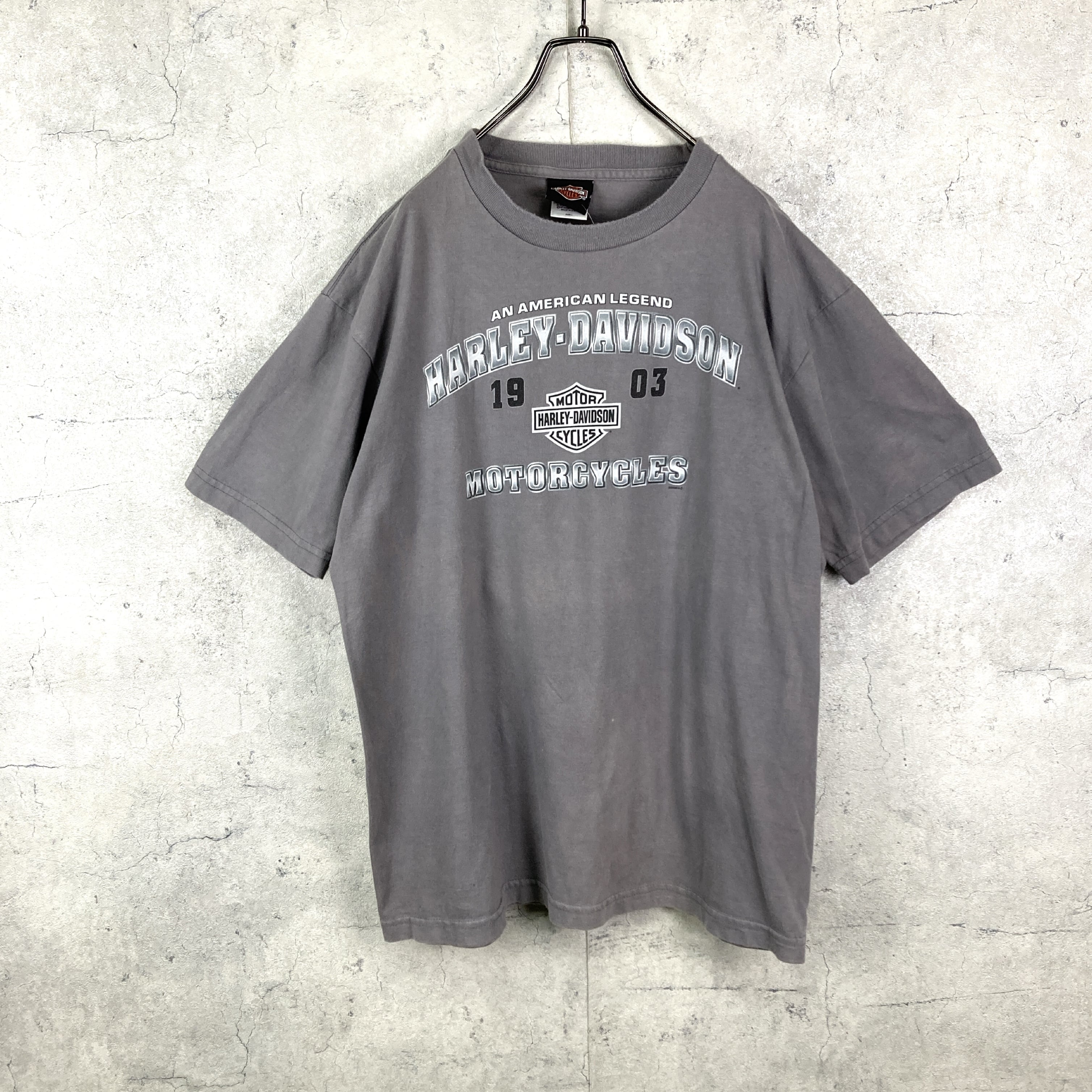 harley davidson ハーレーダビッドソン ヌード Tシャツ M字 - トップス