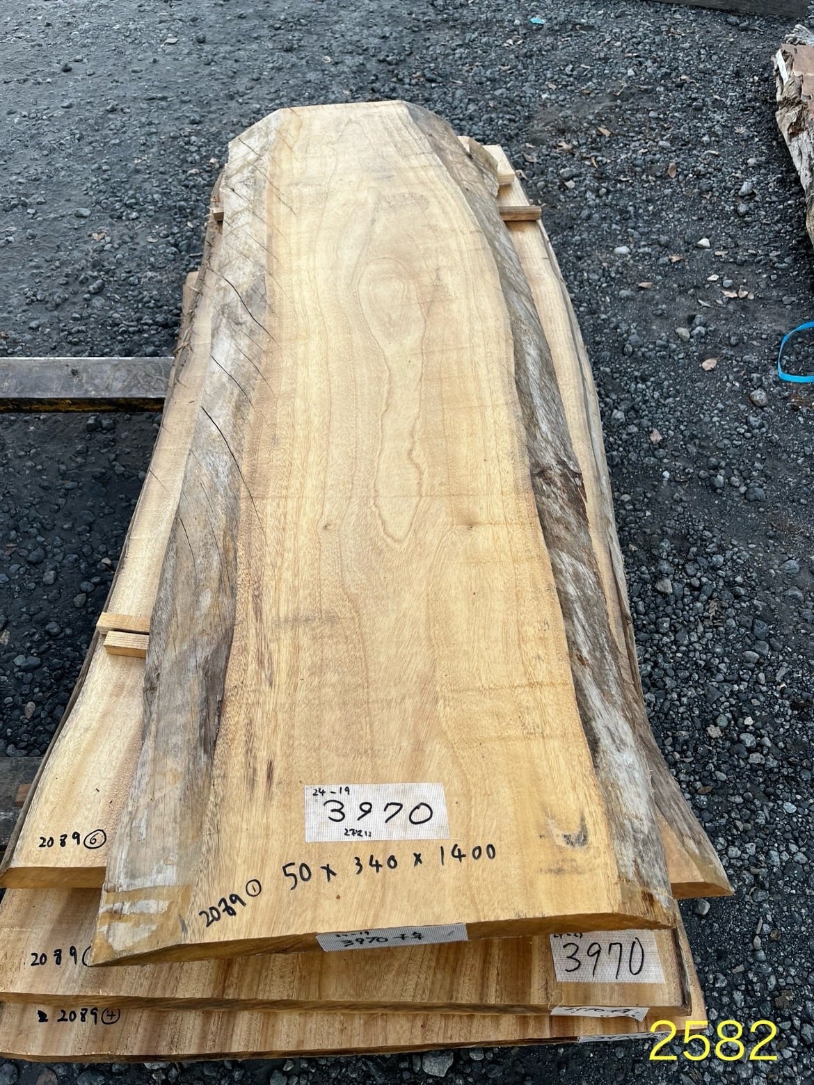 楠(クス)_1400×340×50_原板 G2582