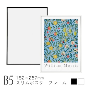 スリムポスターフレーム [B5] 182×257mm アルミ製 軽量 細い縁 ブラック ホワイト 額縁 ポスターパネル