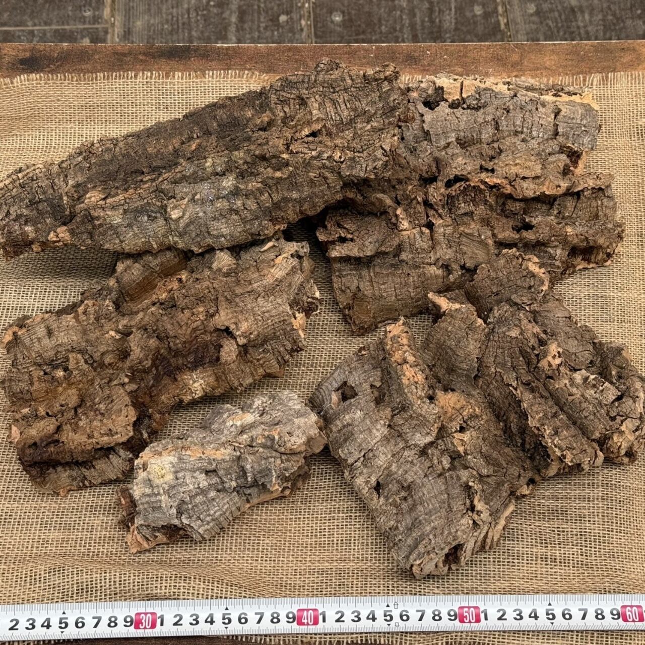 コルクセット 80サイズ箱詰め合わせ』【送料無料】 | MARX PLANTS