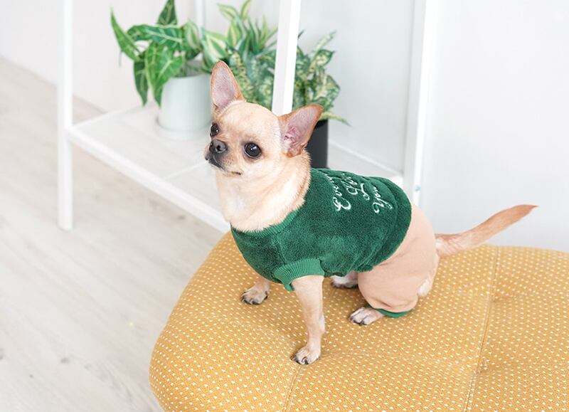 SALE】 cozy all in one S ~ XL 2color / 犬服 冬 オールインワン