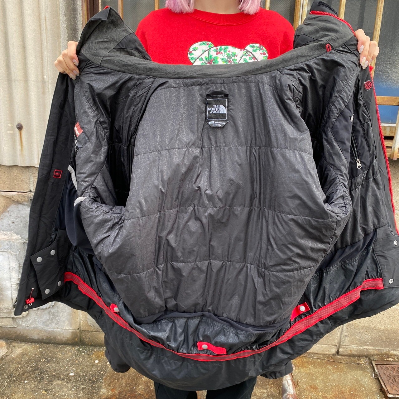 THE NORTH FACE ザ ノースフェイス TNF APEX マウンテンパーカー 