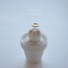 天使サボテン（white）ペンタカンサ