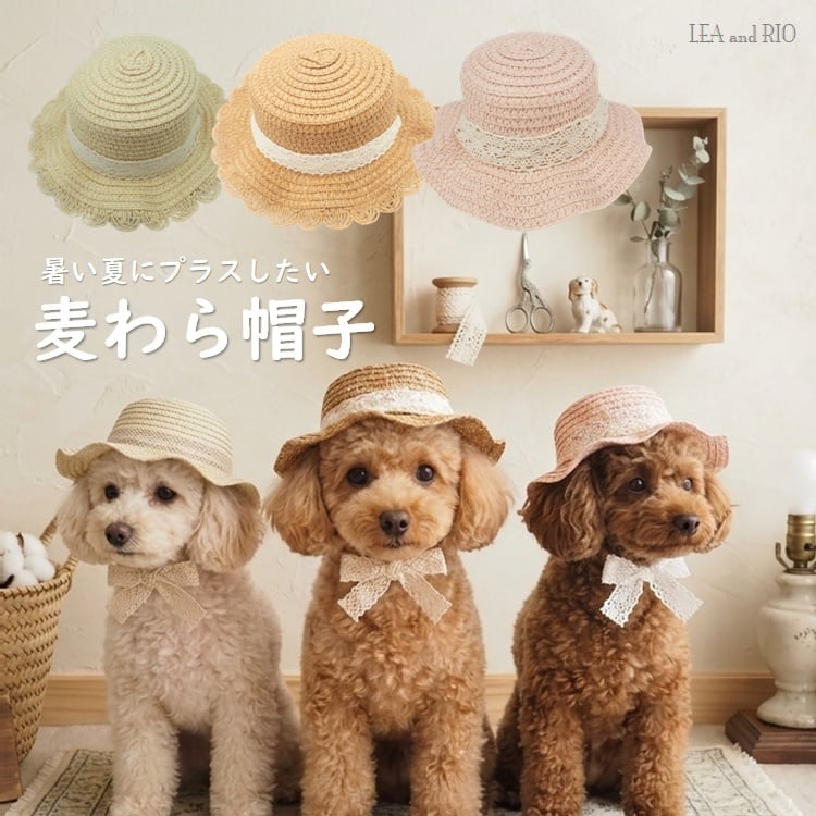 Oliver Gal O59-2 The Look of A Lady オードリーヘップバーン 絵