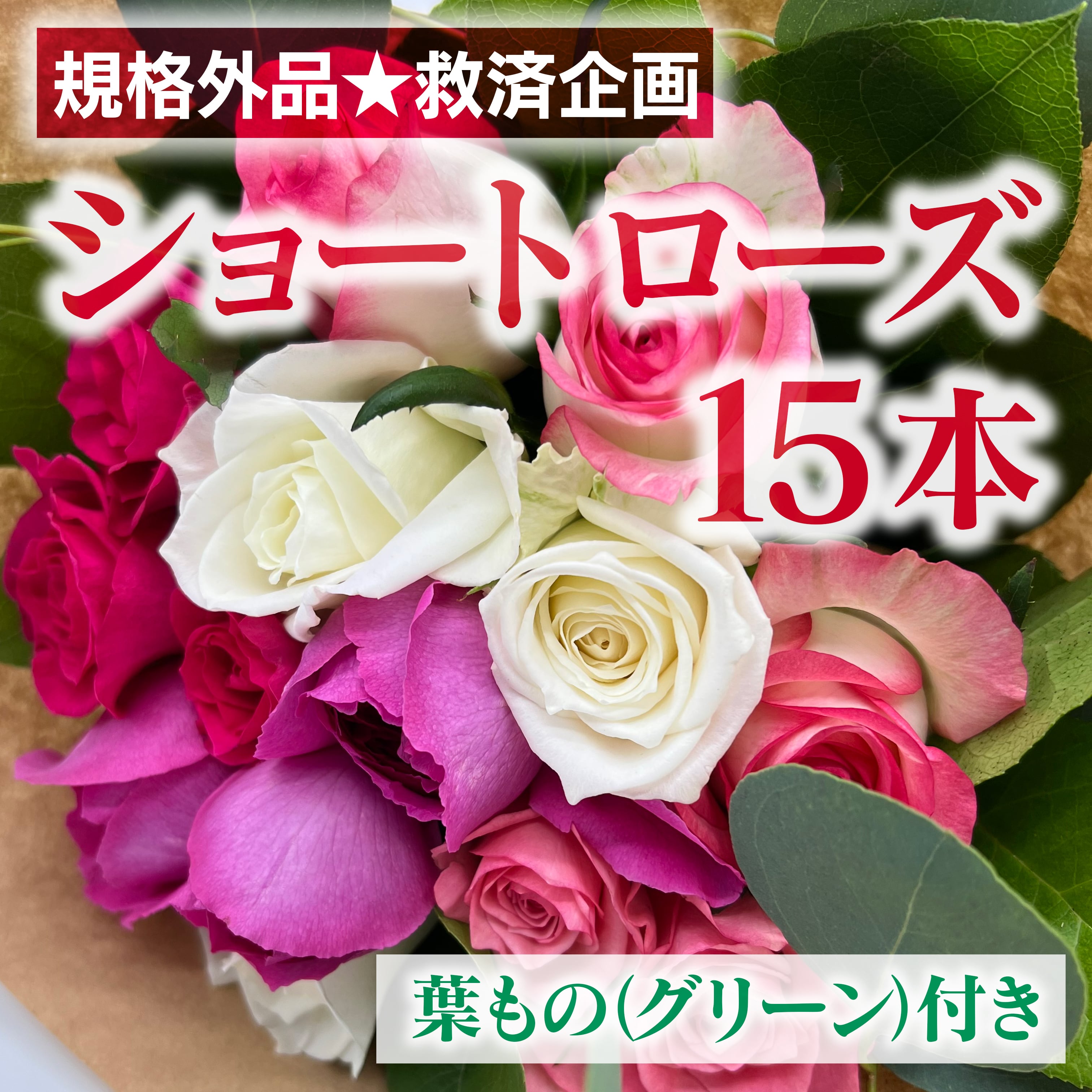 〈規格外品☆救済企画〉ショート☆ローズ 15本+葉ものセット★フラワーロス削減