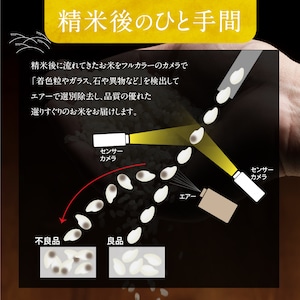 「日本を代表する米処」魚沼産こしひかり 10kg (5kg 2袋) 精米済 【令和５年産】