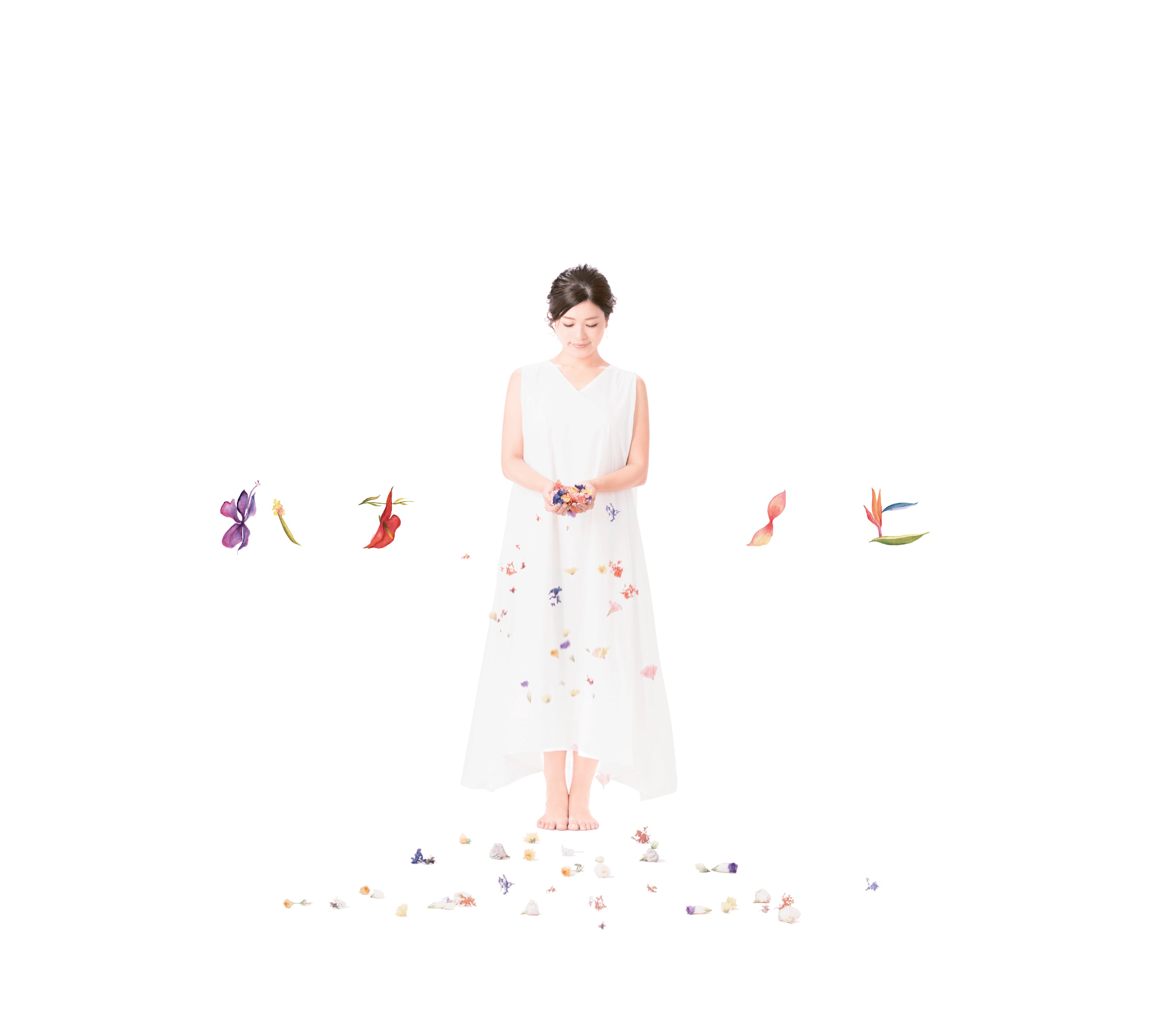ハナノヒ | Ohyamayurika official shop