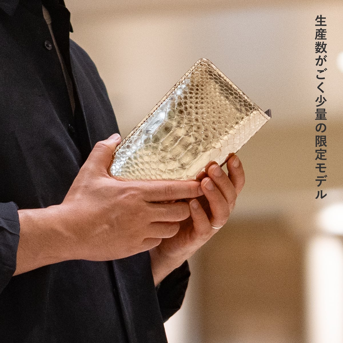 限定商品】ウォレット ステルス パイソン(ゴールド) | ケイシイズ