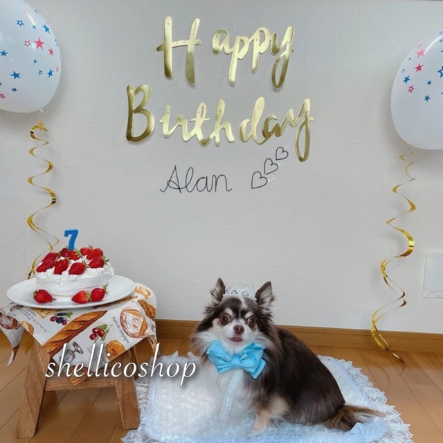 【blue topaz】ボリュームたっぷりリボンチョーカー