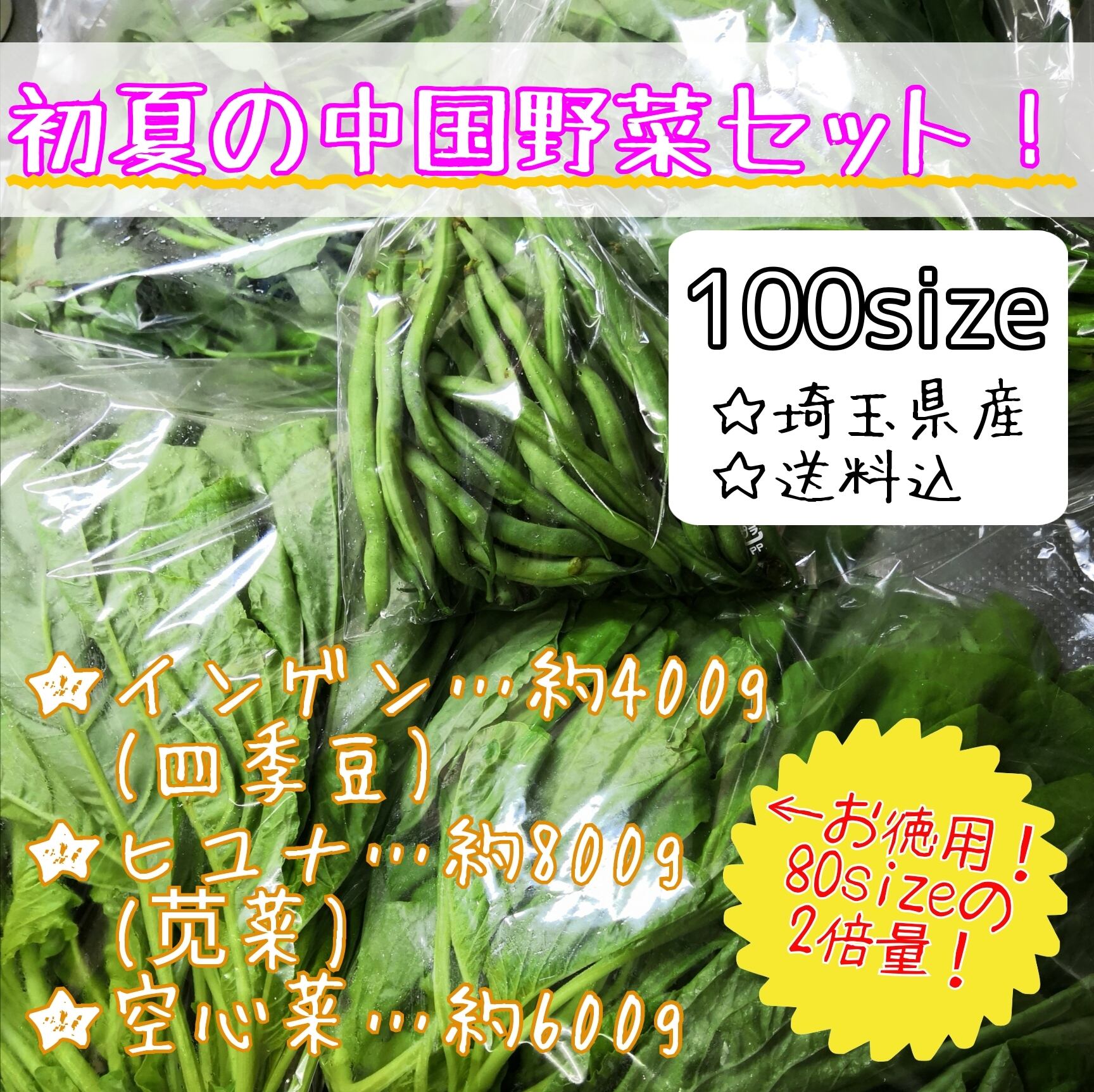 十六ささげ 長いインゲン 10Kg クール便 インゲン - 野菜