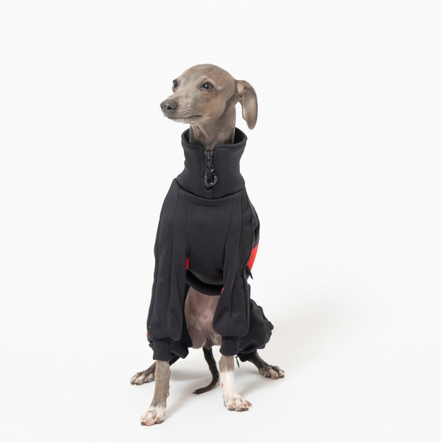 ドッグランジャージ　black × red  / イタグレ服