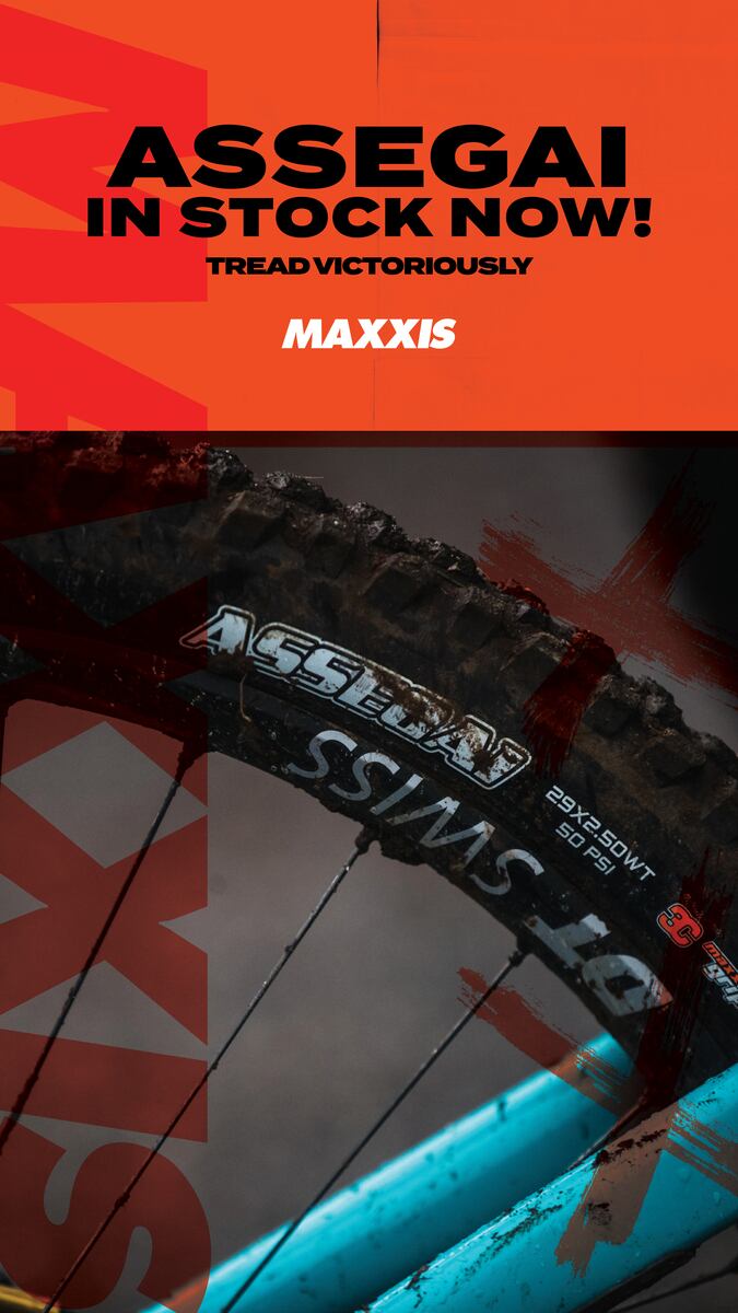 マキシス MTBタイヤ ASSEGAI 29×2.6 DD MAXX GRIP マキシス MTBタイヤ ASSEGAI 29×2.6 DD MAXX GRIP MAXXIS