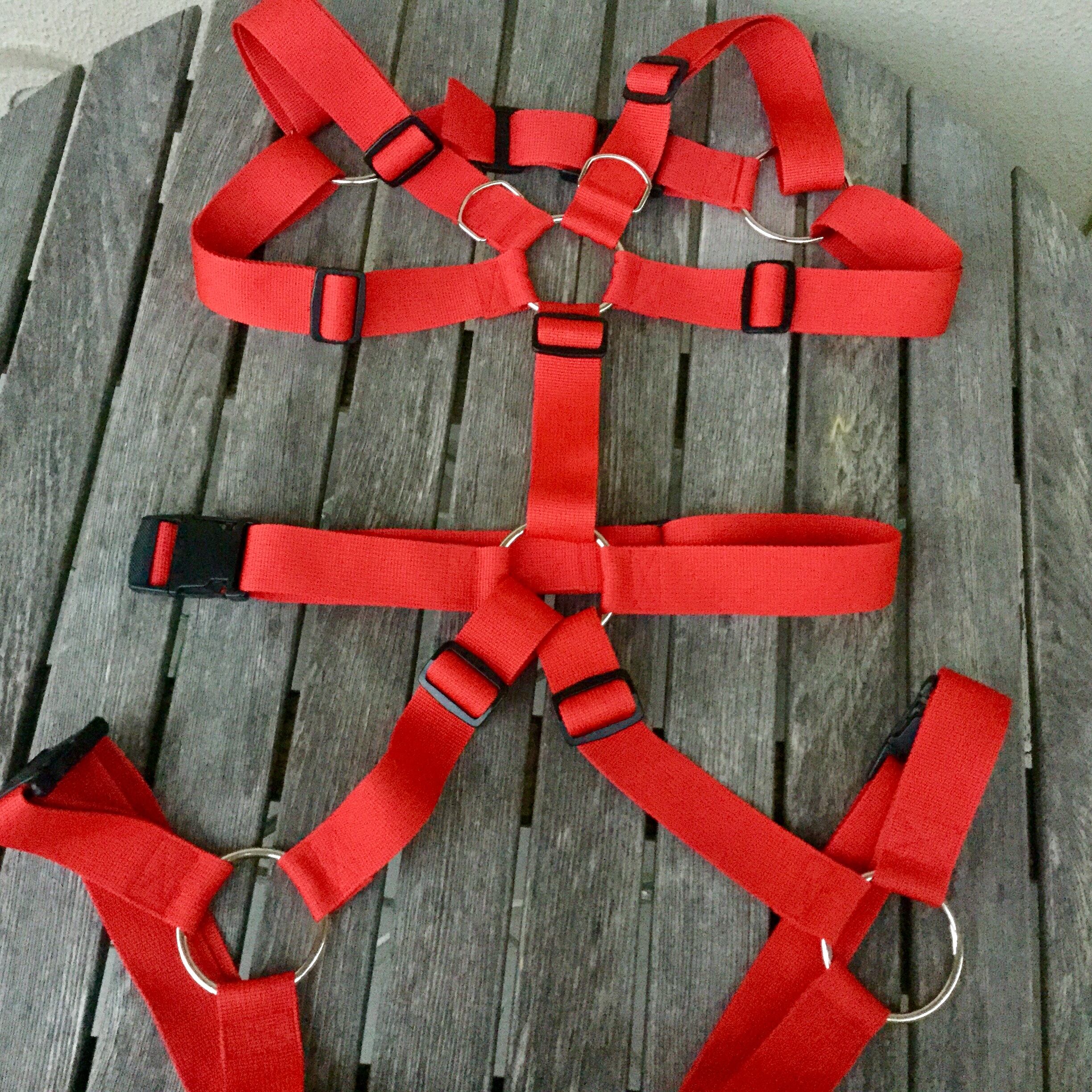 フルハーネス 赤 40mm幅