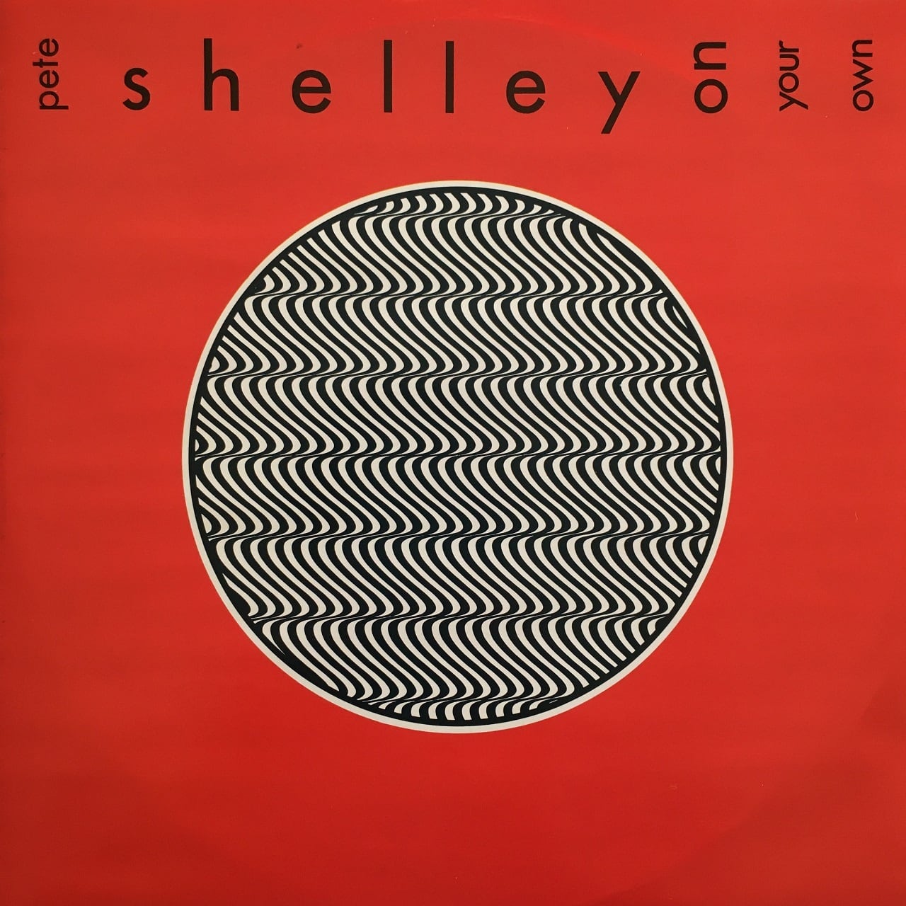 ★ Pete Shelley レコード LP PETE SHELLEY Homosapien 12