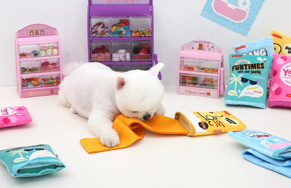 jellychu pocket toy / ペット 犬 おもちゃ カシャカシャ 知育玩具 ノーズワーク おやつ隠し 可愛い わんちゃん おもちゃ ストレス解消 toy16