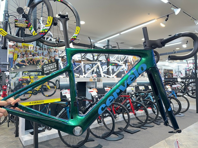Cervelo Caledonia5 フレームセット　OASIS 51サイズ