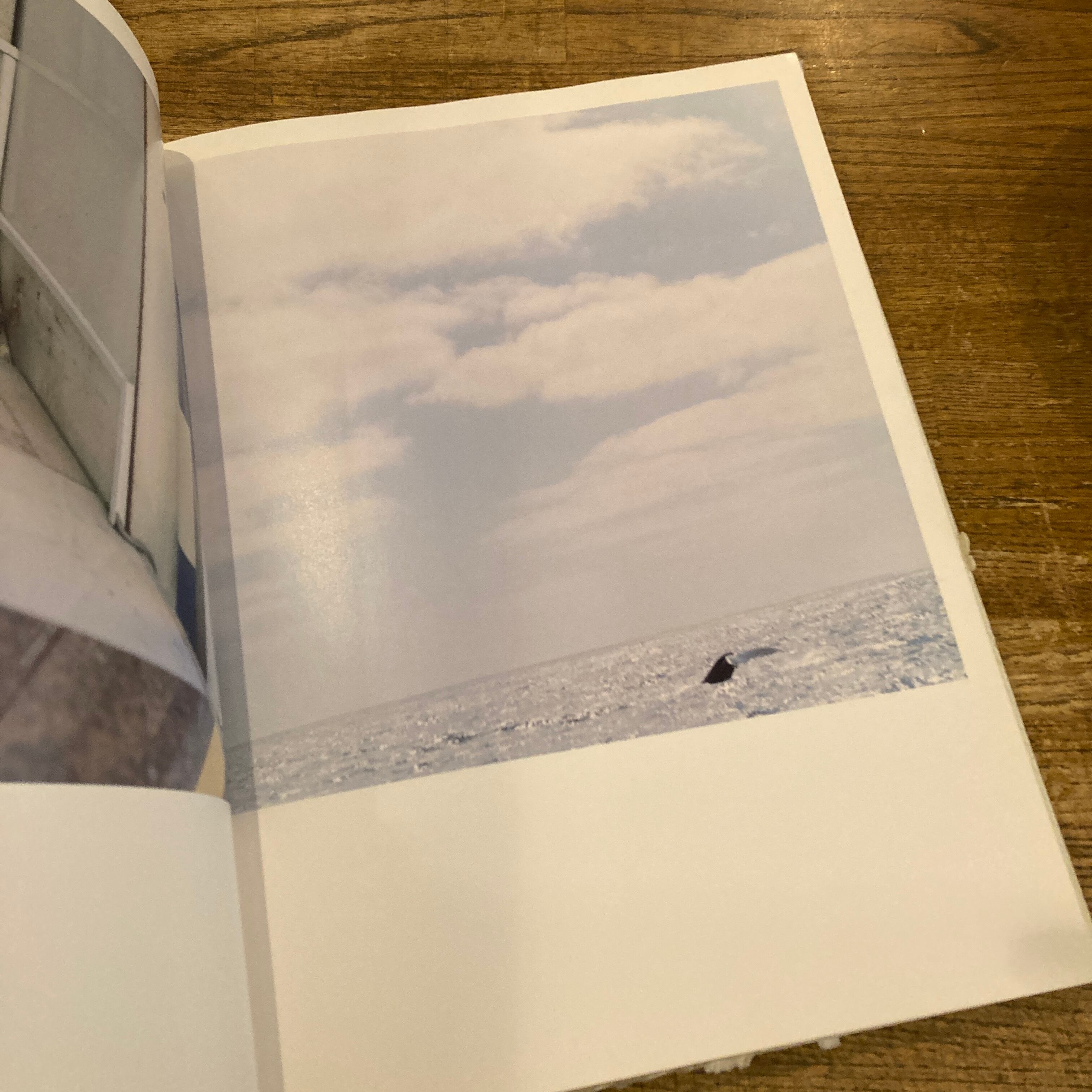 AILA / 川内倫子 | 百年