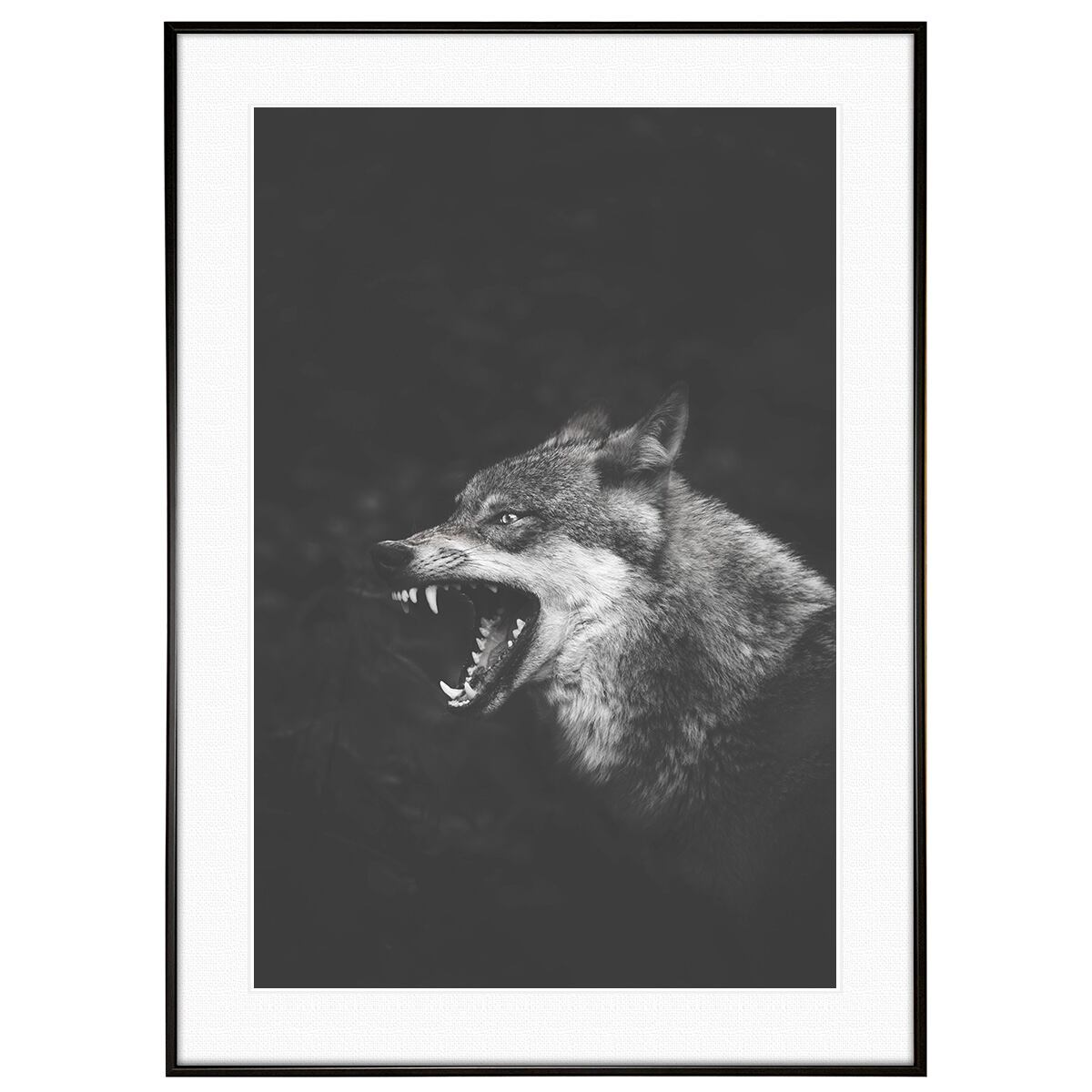 動物写真 オオカミ インテリア モノクロアートポスター額装 AS0843