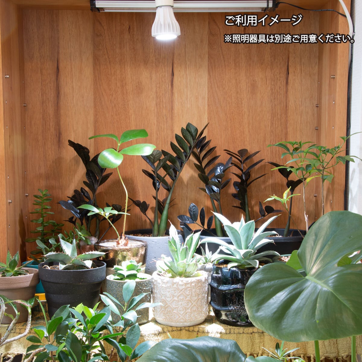 CHISPA 観葉植物育成LEDライト(LEDのみ) | CHISPA CHISPA 観葉植物育成LEDライト(LEDのみ) | CHISPA