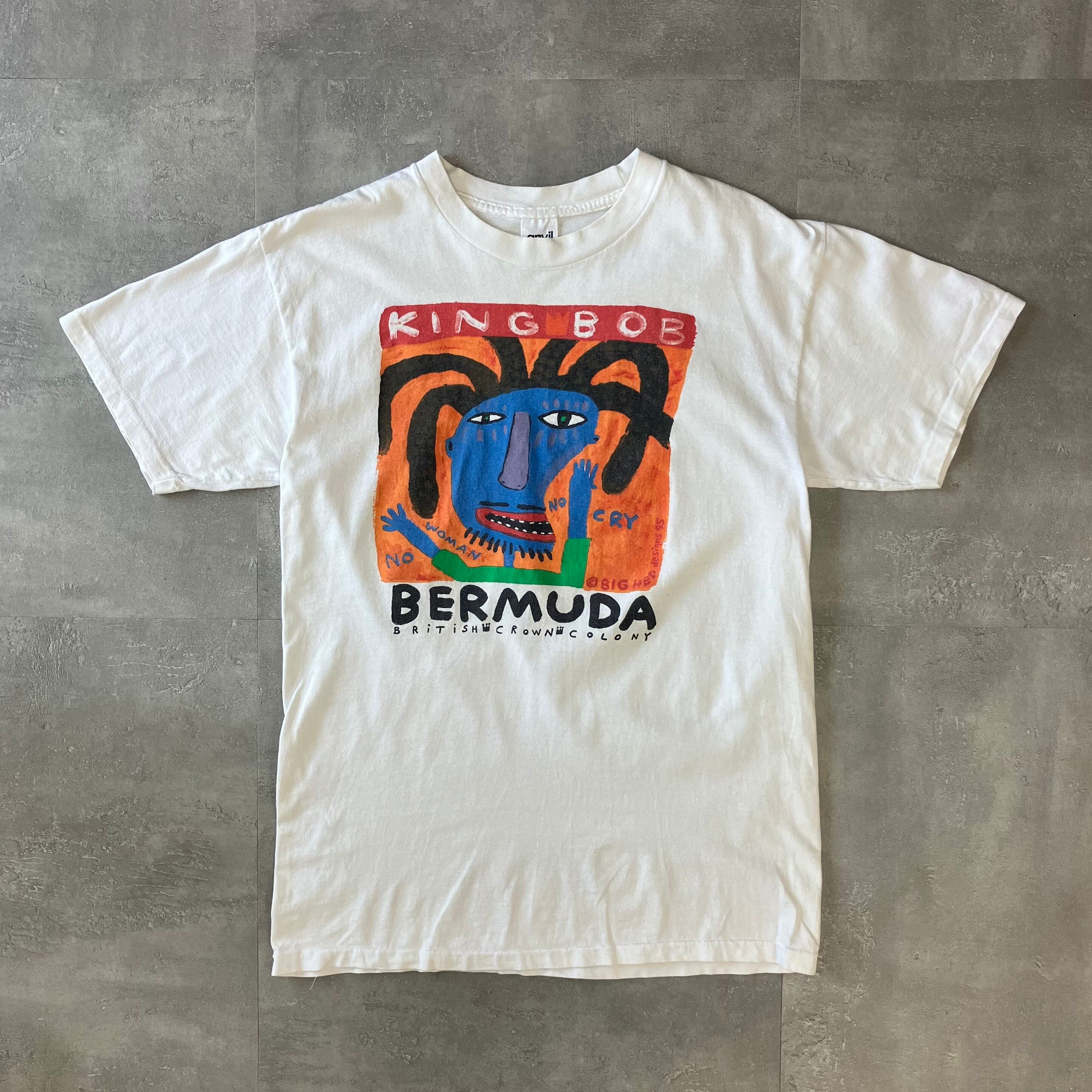 BIG HED DESIGNS 90s anvil usa製 シングルステッチ プリントTee L No.1974