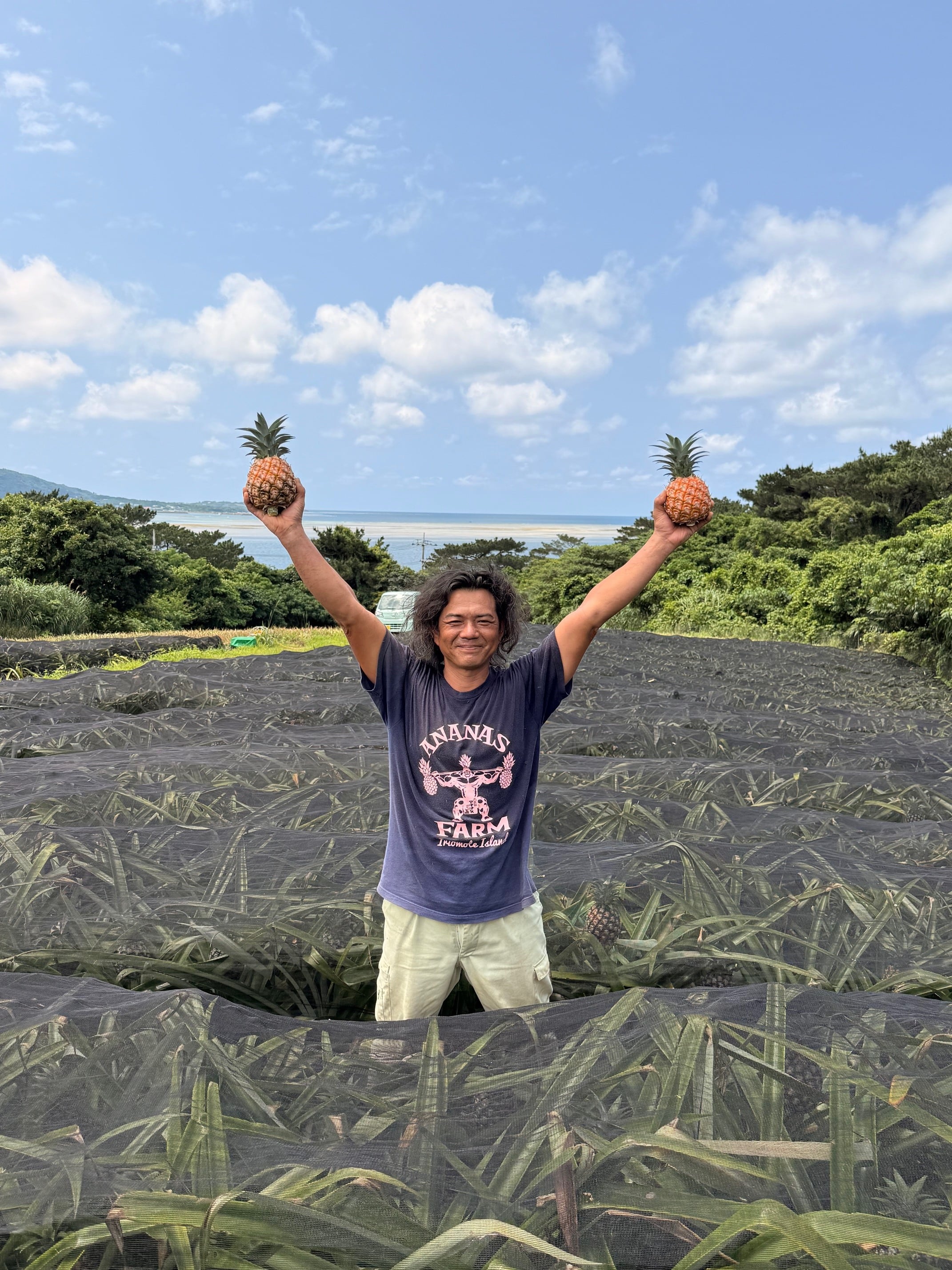ピーチパイン | 西表島アナナス農園|沖縄・有機JAS認証|オーガニック