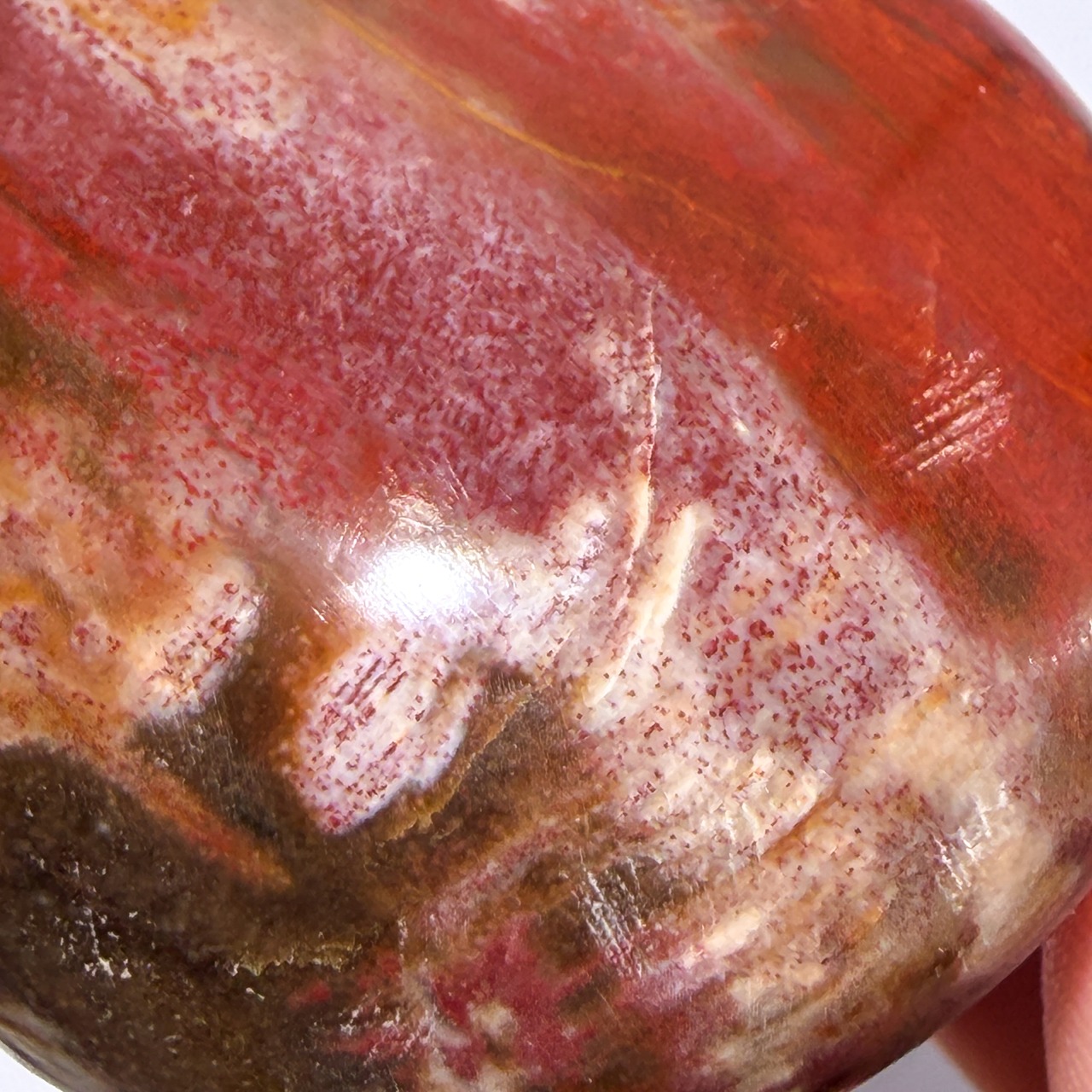 ペトリファイドウッド02 パーム ＊ Petrified Wood ＊ 天然石