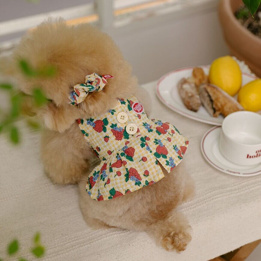 Rolling pepe | haneulpet