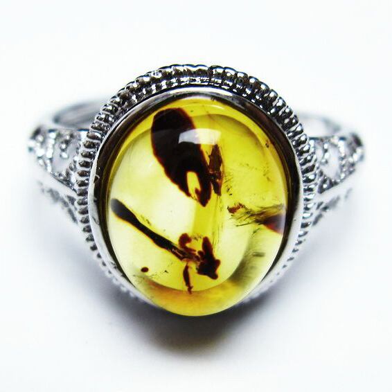 琥珀 アンバー リング 指輪 フリーサイズ 15号 一点物 [M便 1/20] 115-4815