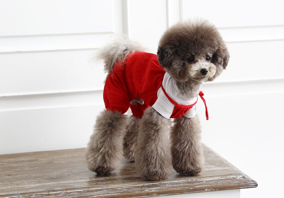 vienna romper S ~ XL 2color / 犬服 オールインワン 韓国犬服 ドッグウェア ロンパース ふんわり ボリューム感 ゆったり 袖なし つなぎ 小型犬中型犬 無地 シンプル