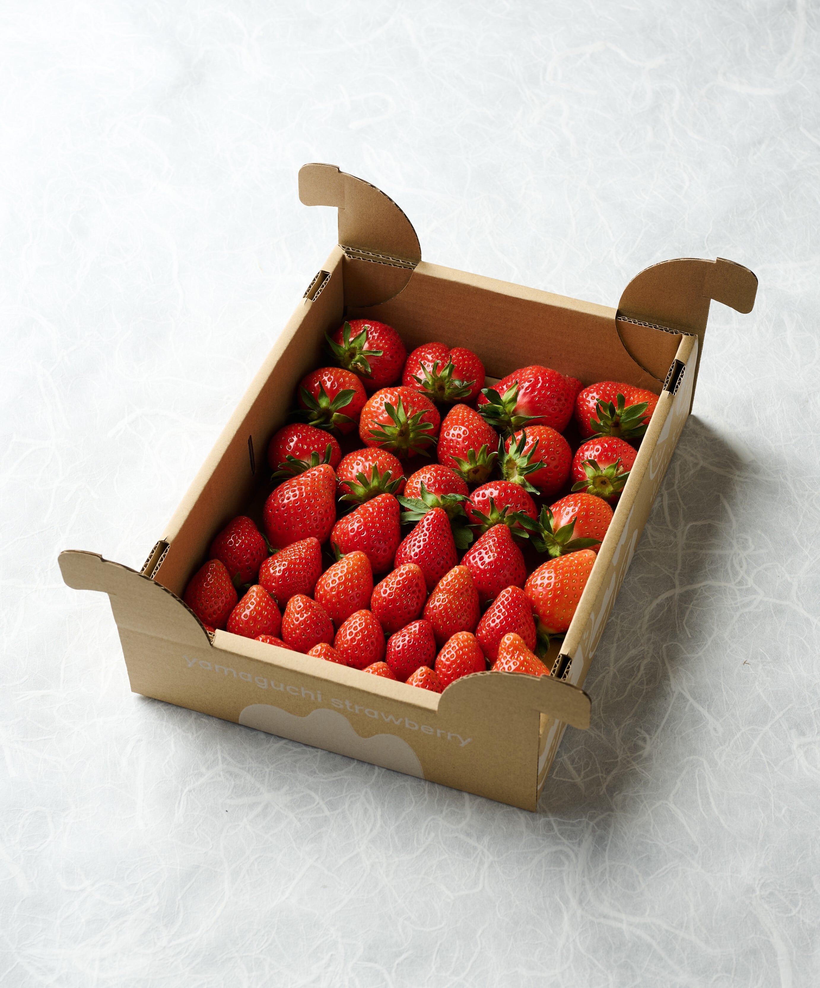 初摘み予約】訳あり おまかせたっぷり900g(梱包込)×1箱 いちご 群馬