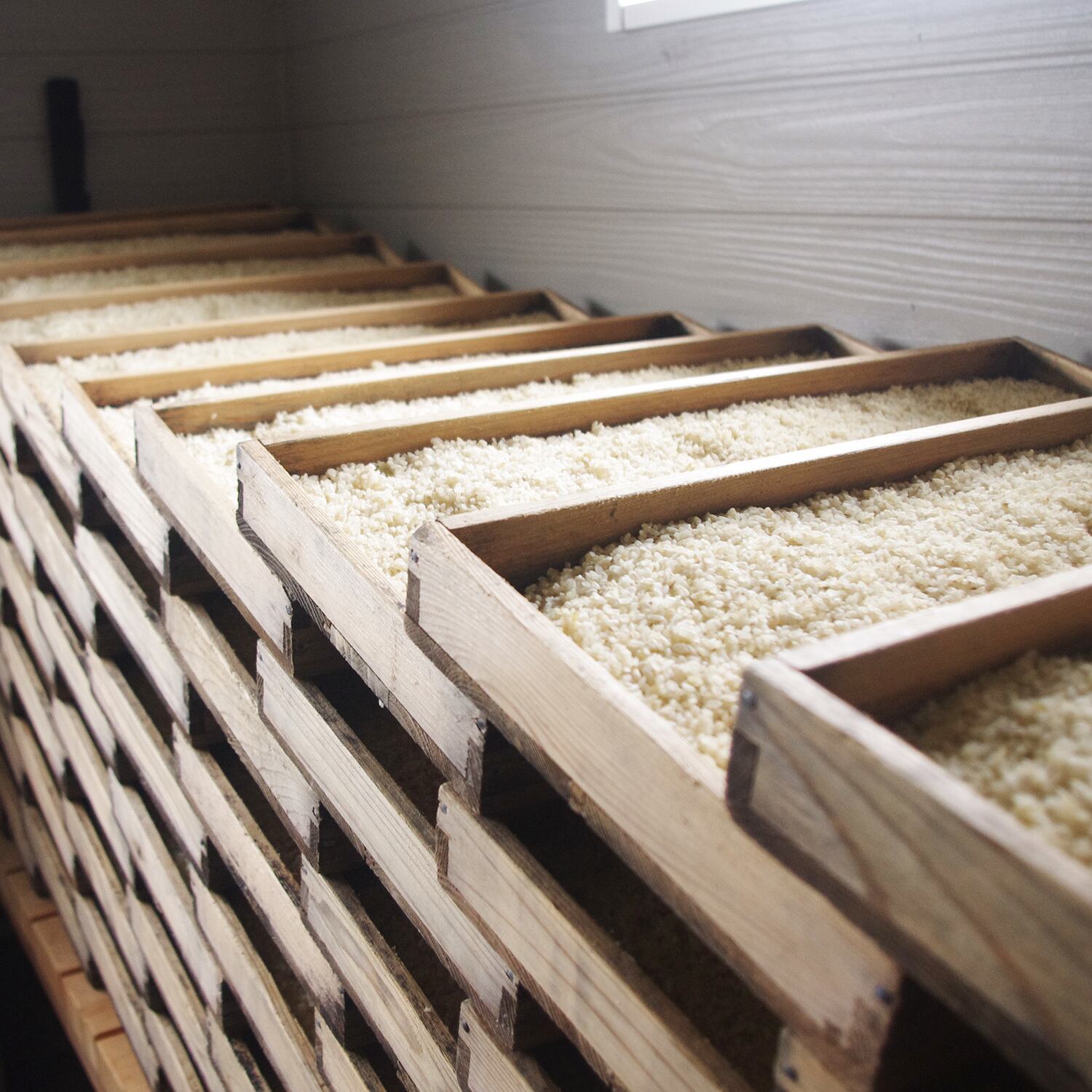 焦がしねぎにんにく塩糀