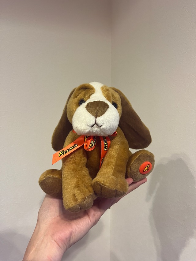 Nさま専用　Reese's DOG