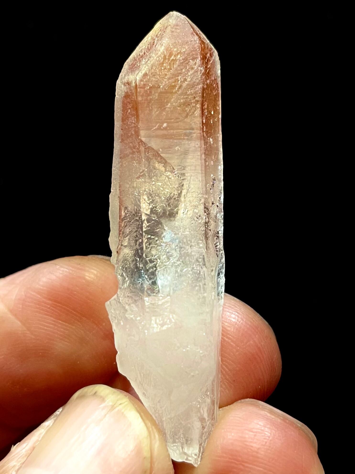 希少】ドリームシクルレムリアン 【公式通販】